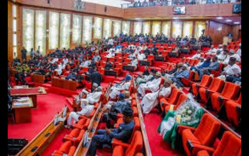 Senate moves to amend NEXIM act