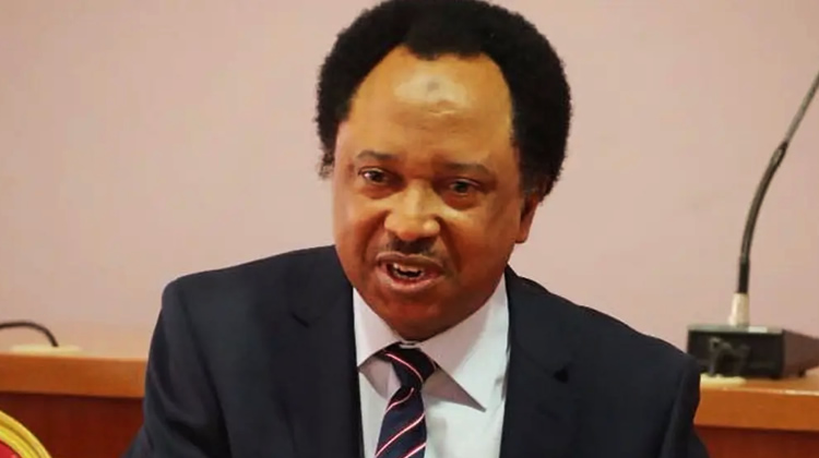Opposition lawmakers not visible in NASS – Shehu Sani