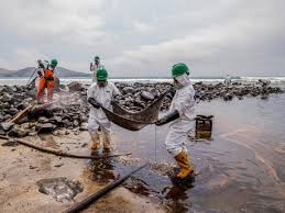 Environmentalist Blames Nigerian Government and IOCs for Reckless Pollution in Niger Delta