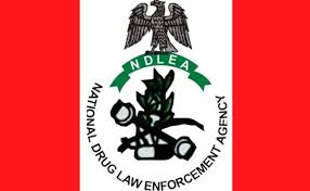Tinubu rejects NDLEA Bill over constitutional concerns